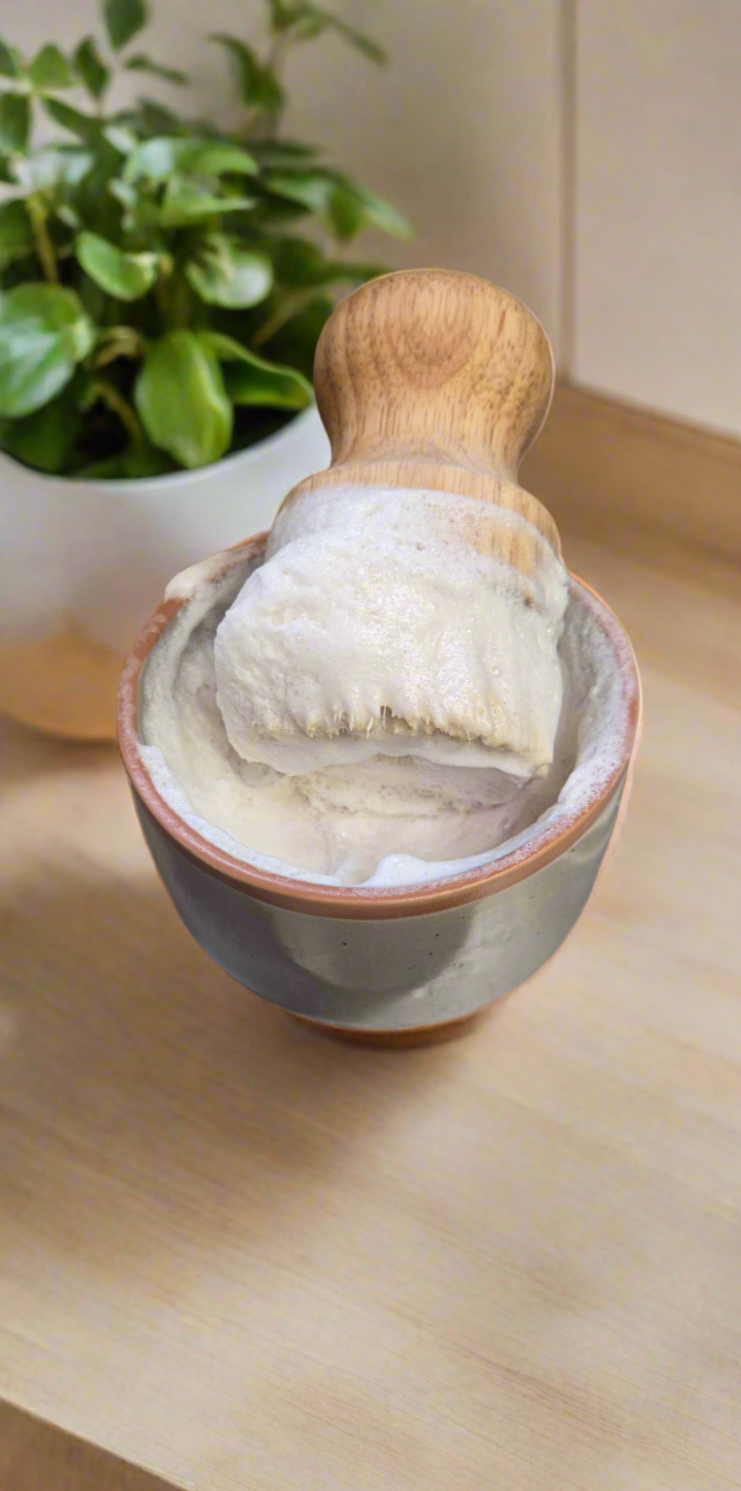 Solid Dish Soap Set