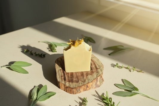 Sage & Sunshine 🌼