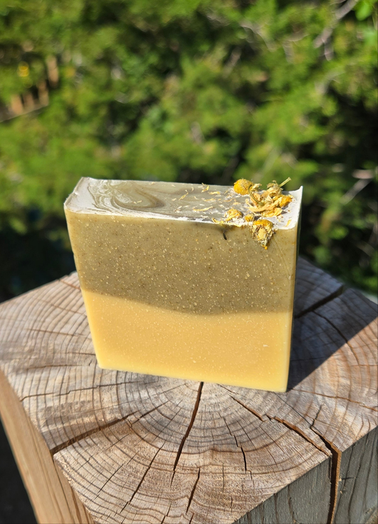 Green Tea & Aloe Facial Bar