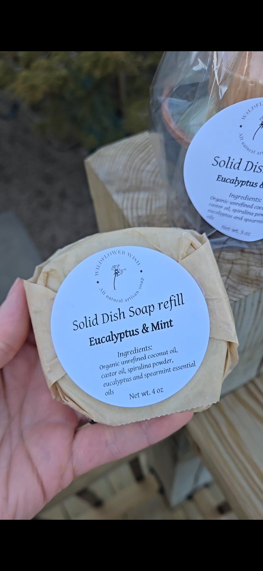 Solid Dish Soap (Refill)